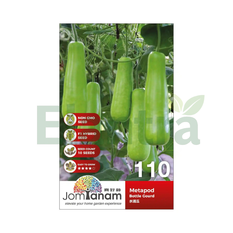 110 BOTTLE GOURD